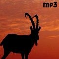 Goatbusters - Hostel