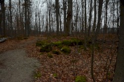 seasons change