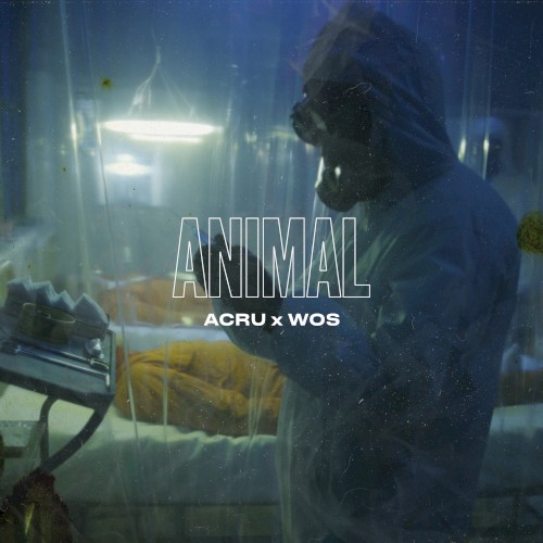 Animal