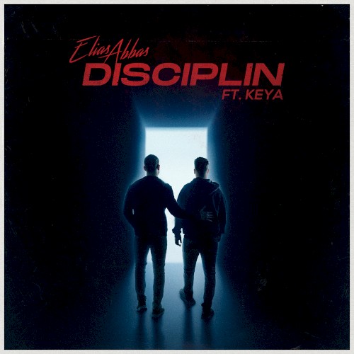 Disciplin