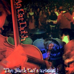 The Black Cat's Around