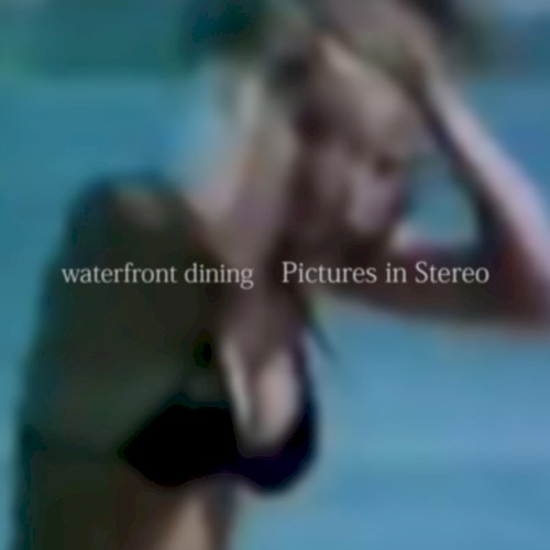 Pictures in Stereo