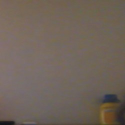 Omegle Dog Barking