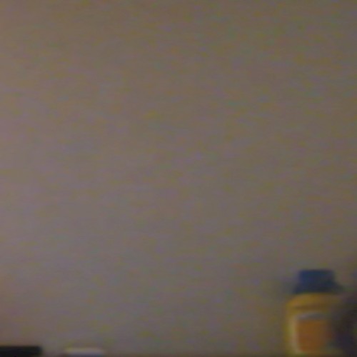 Omegle Dog Barking