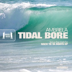 Tidal Bore