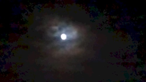 Winter's Come & Gone