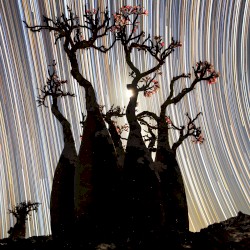 Music for Focus and Creativity