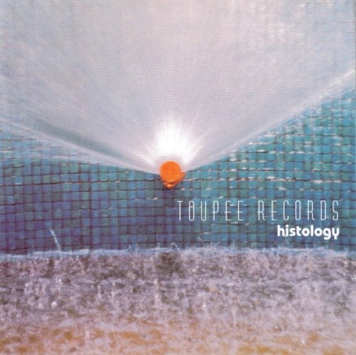 Toupee Records: Histology