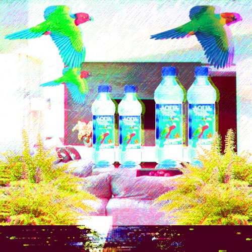 PLUSスターコレクション VOL. 1