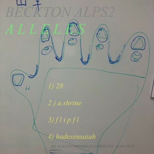 Alleles