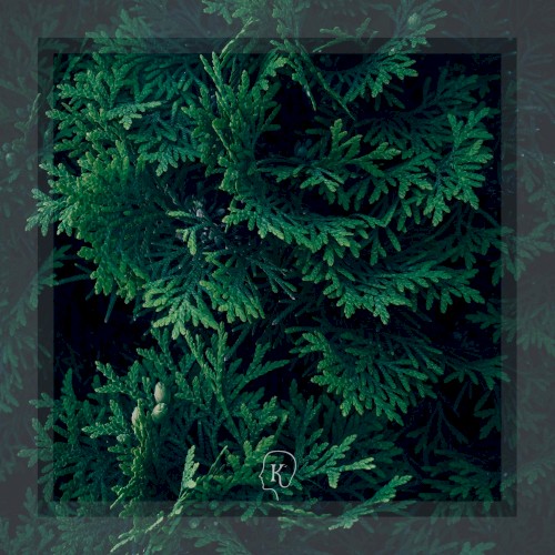 Enchanted Forests