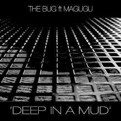 Deep in a Mud