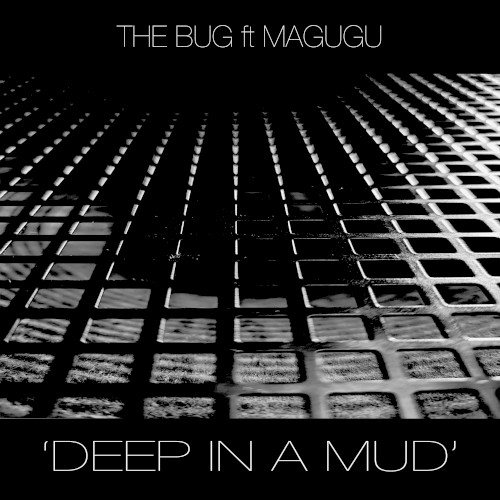 Deep in a Mud
