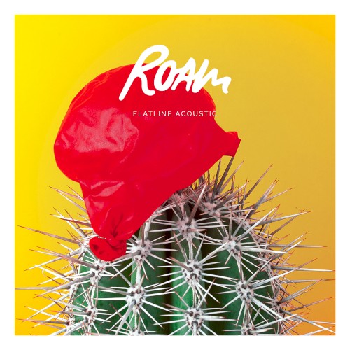 Flatline (acoustic)