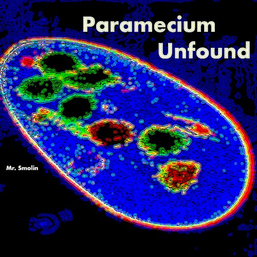 Paramecium Unfound