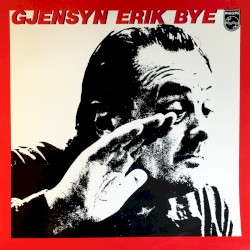 Gjensyn