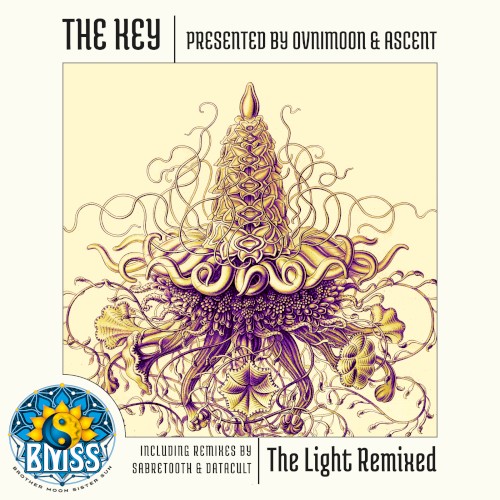 The Light Remixed