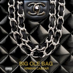 Big Ole Bag