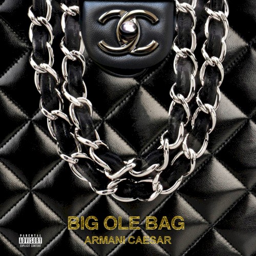 Big Ole Bag