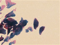 We Can Rust the World Into the Dust of the Universe