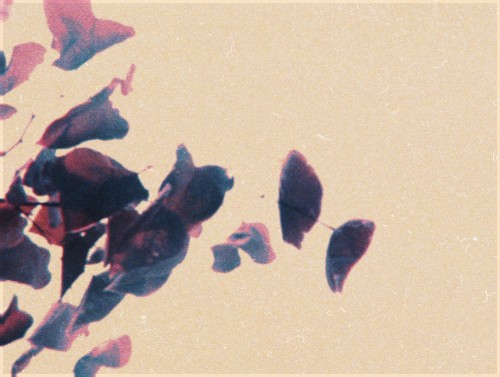 We Can Rust the World Into the Dust of the Universe