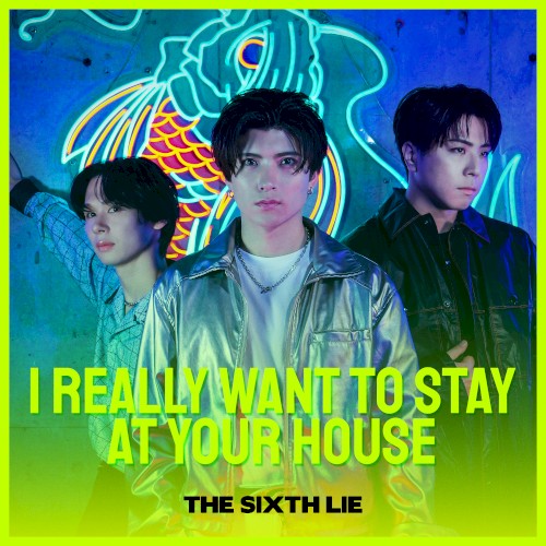 I Really Want to Stay at Your House