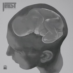 Falling Down Instrumentals