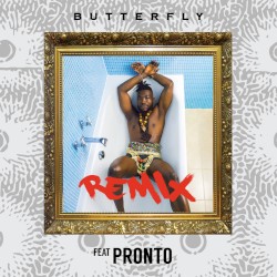 Butterfly (remix)