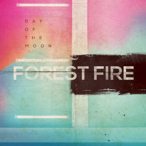 Forest Fire