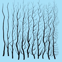 Tender Filaments EP