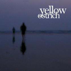 Yellow Ostrich