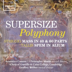 Supersize Polyphony