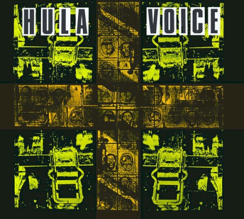 Voice