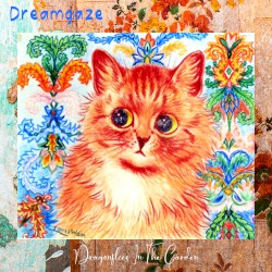 Dreamgaze