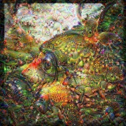 Computers Dreams