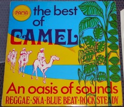 Camel and the Oasis of Reggae