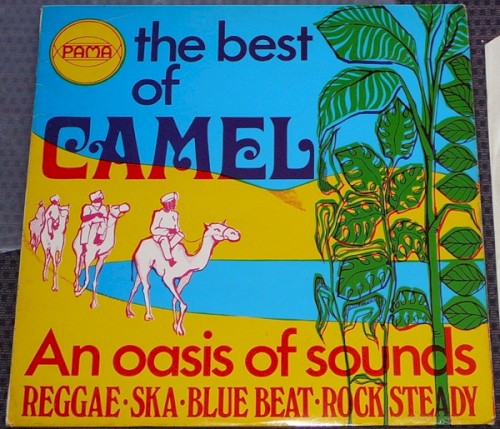Camel and the Oasis of Reggae