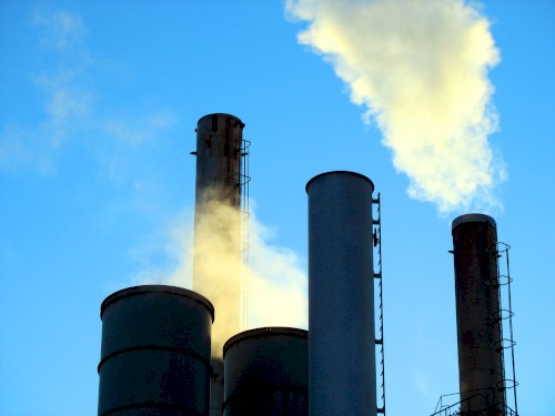 Industry Standard