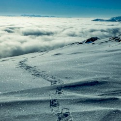 You Must Have Self-Discipline And Strong Principles