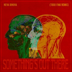 Something's Out There (Todd Fink remix)