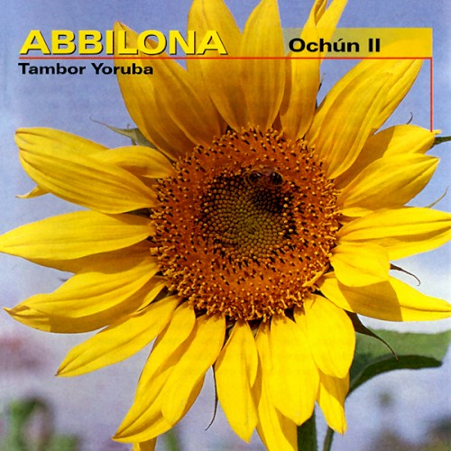 Tambor Yoruba: Ochún II