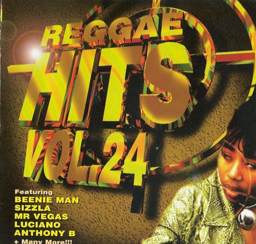 Reggae Hits, Volume 24
