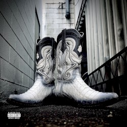 Alligator Boots