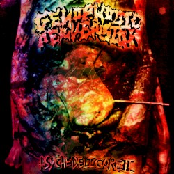 Psychedeligore II