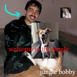 welcome to the jungle