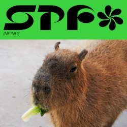 X-periencia