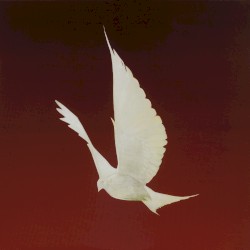 Dove