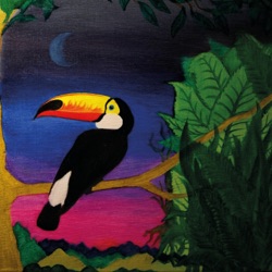 Bird of Paradise