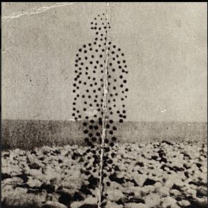 Beme Seed