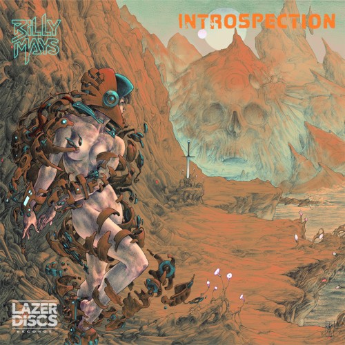 Introspection